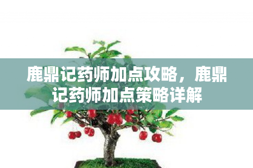鹿鼎记药师加点攻略，鹿鼎记药师加点策略详解