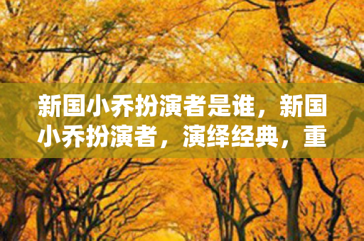 新国小乔扮演者是谁，新国小乔扮演者，演绎经典，重塑历史