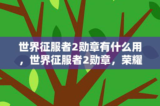 世界征服者2勋章有什么用，世界征服者2勋章，荣耀与战略的象征