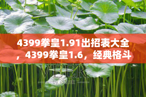 4399拳皇1.91出招表大全，4399拳皇1.6，经典格斗游戏的全新篇章