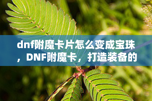 dnf附魔卡片怎么变成宝珠，DNF附魔卡，打造装备的神器