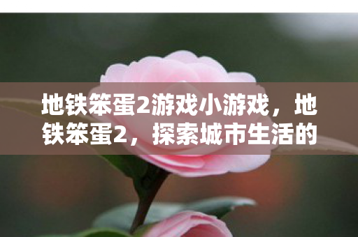 地铁笨蛋2游戏小游戏，地铁笨蛋2，探索城市生活的另类视角