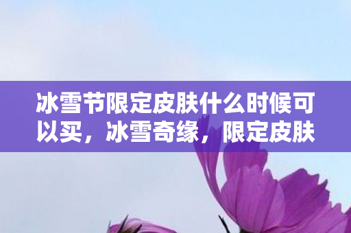 冰雪节限定皮肤什么时候可以买，冰雪奇缘，限定皮肤的魅力与收藏价值