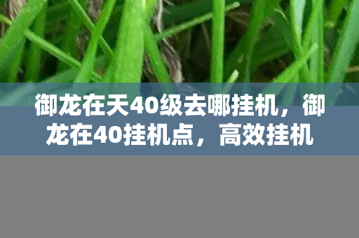 御龙在天40级去哪挂机，御龙在40挂机点，高效挂机，轻松升级