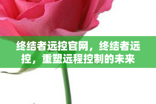 终结者远控官网，终结者远控，重塑远程控制的未来