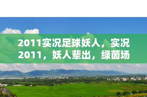 2011实况足球妖人，实况2011，妖人辈出，绿茵场上的传奇再现