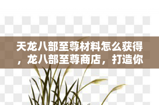 天龙八部至尊材料怎么获得，龙八部至尊商店，打造你的专属游戏天堂