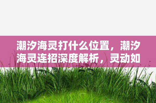 潮汐海灵打什么位置，潮汐海灵连招深度解析，灵动如潮，掌控海域