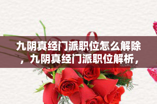 九阴真经门派职位怎么解除，九阴真经门派职位解析，从入门到高手的修炼之路