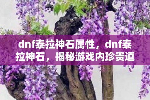 dnf泰拉神石属性，dnf泰拉神石，揭秘游戏内珍贵道具的神秘面纱