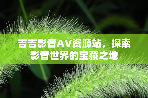 吉吉影音AV资源站,探索影音世界的宝藏之地 吉吉影音AV资源站,探索影音世界的宝藏之地