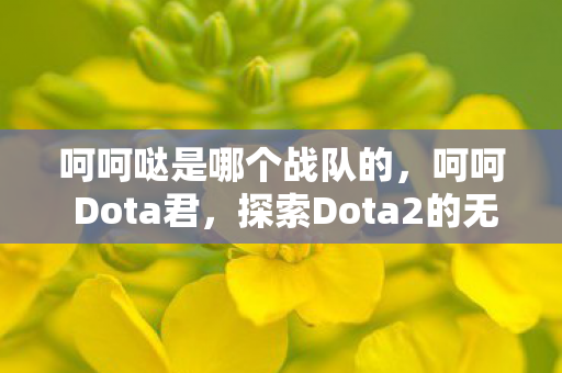 呵呵哒是哪个战队的，呵呵 Dota君，探索Dota2的无限可能