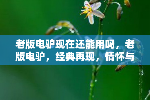 老版电驴现在还能用吗，老版电驴，经典再现，情怀与技术的双重致敬