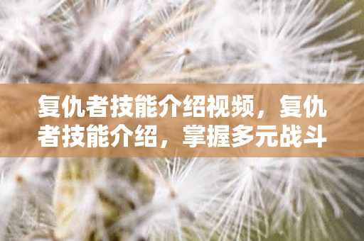 复仇者技能介绍视频，复仇者技能介绍，掌握多元战斗艺术