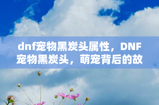 dnf宠物黑炭头属性，DNF宠物黑炭头，萌宠背后的故事与养成攻略