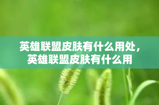 英雄联盟皮肤有什么用处，英雄联盟皮肤有什么用