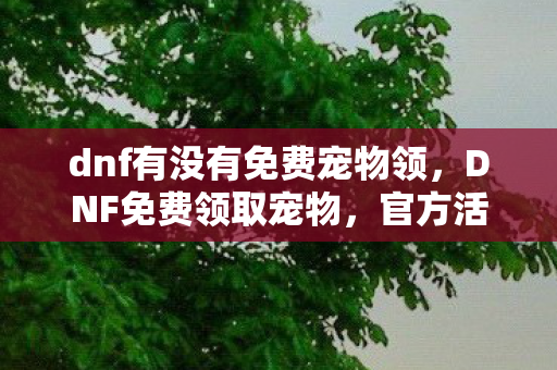 dnf有没有免费宠物领，DNF免费领取宠物，官方活动与福利详解