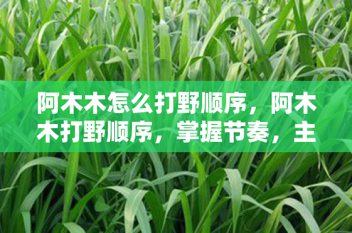 阿木木怎么打野顺序，阿木木打野顺序，掌握节奏，主宰野区