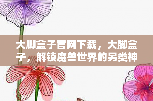 大脚盒子官网下载，大脚盒子，解锁魔兽世界的另类神器