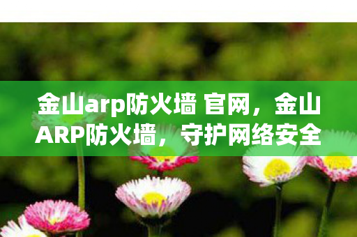 金山arp防火墙 官网，金山ARP防火墙，守护网络安全的重要防线