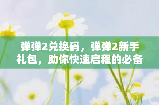 弹弹2兑换码，弹弹2新手礼包，助你快速启程的必备神器