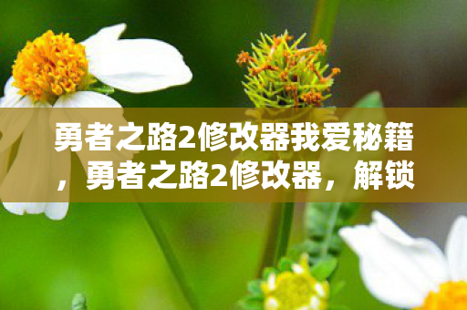 勇者之路2修改器我爱秘籍，勇者之路2修改器，解锁无限可能的冒险之旅