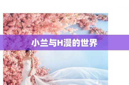 小兰与H漫的世界