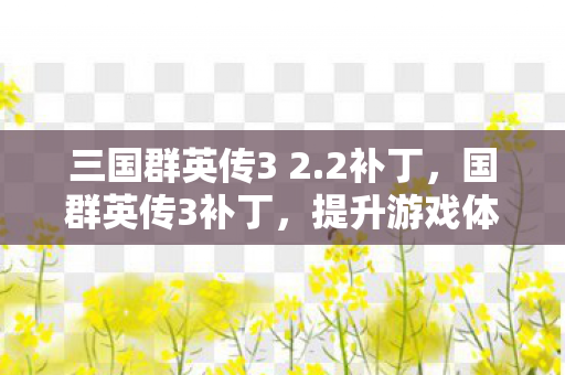 三国群英传3 2.2补丁，国群英传3补丁，提升游戏体验的必备神器
