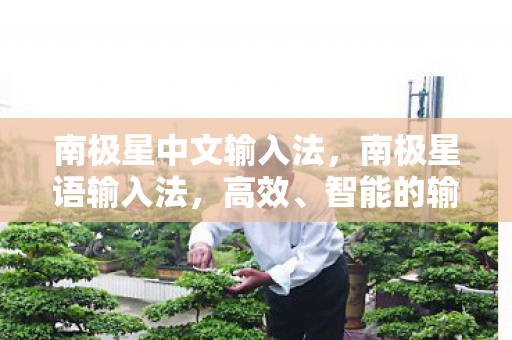 南极星中文输入法，南极星语输入法，高效、智能的输入新体验