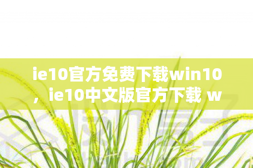 ie10官方免费下载win10，ie10中文版官方下载 win7，高效、安全、便捷的浏览器体验