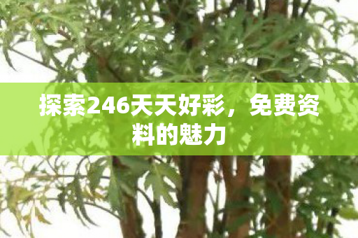 探索246天天好彩，免费资料的魅力