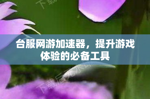 台服网游加速器，提升游戏体验的必备工具