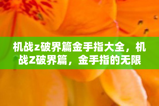 机战z破界篇金手指大全，机战Z破界篇，金手指的无限可能