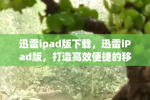 迅雷ipad版下载，迅雷iPad版，打造高效便捷的移动下载体验