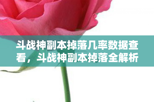 斗战神副本掉落几率数据查看，斗战神副本掉落全解析，珍稀装备与材料的获取之道
