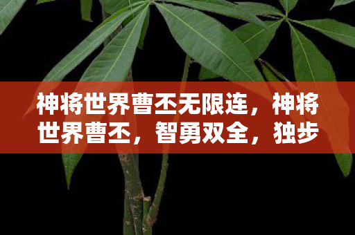 神将世界曹丕无限连，神将世界曹丕，智勇双全，独步天下