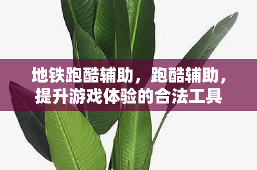 地铁跑酷辅助，跑酷辅助，提升游戏体验的合法工具