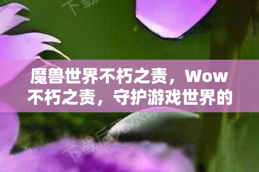 魔兽世界不朽之责，Wow不朽之责，守护游戏世界的责任与荣耀