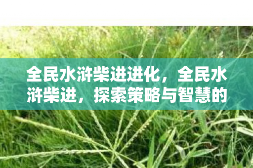 全民水浒柴进进化，全民水浒柴进，探索策略与智慧的深度结合