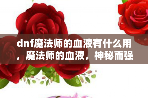 dnf魔法师的血液有什么用，魔法师的血液，神秘而强大的存在