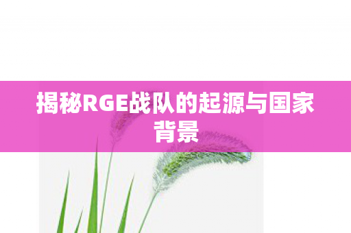 揭秘RGE战队的起源与国家背景 揭秘RGE战队的起源与国家背景