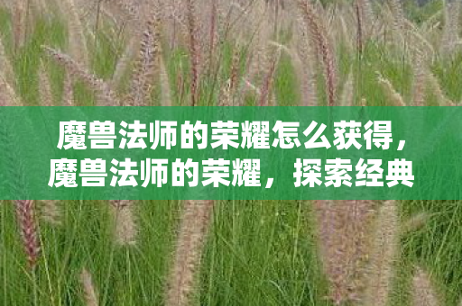 魔兽法师的荣耀怎么获得，魔兽法师的荣耀，探索经典与传承的传奇