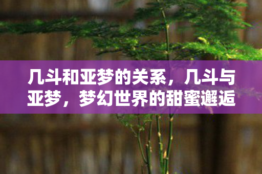 几斗和亚梦的关系，几斗与亚梦，梦幻世界的甜蜜邂逅