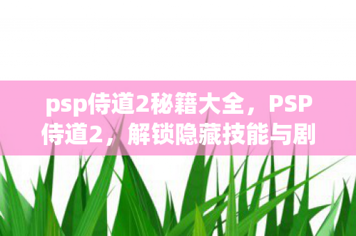 psp侍道2秘籍大全，PSP侍道2，解锁隐藏技能与剧情的秘籍