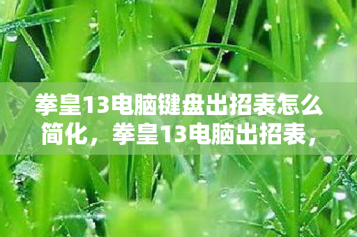 拳皇13电脑键盘出招表怎么简化，拳皇13电脑出招表，掌握技巧，称霸格斗舞台