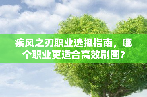 疾风之刃职业选择指南,哪个职业更适合高效刷图? 疾风之刃职业选择指南,哪个职业更适合高效刷图?