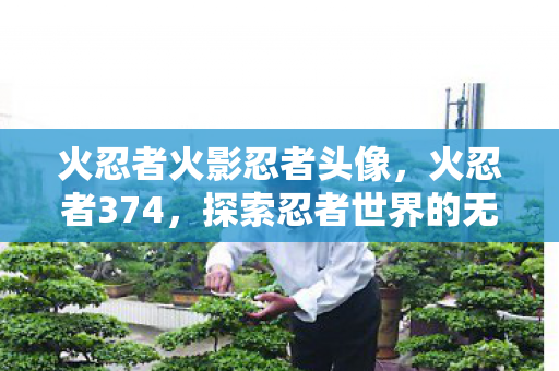 火忍者火影忍者头像，火忍者374，探索忍者世界的无限可能