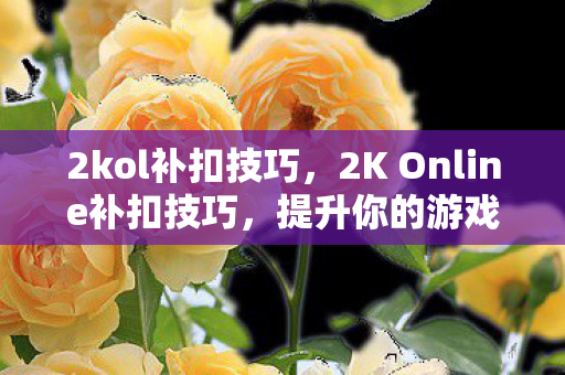 2kol补扣技巧，2K Online补扣技巧，提升你的游戏得分能力