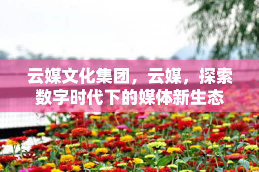 云媒文化集团，云媒，探索数字时代下的媒体新生态