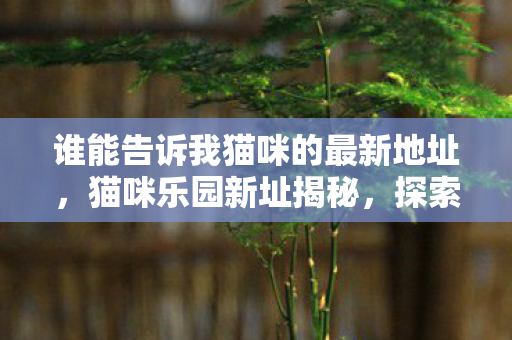 谁能告诉我猫咪的最新地址，猫咪乐园新址揭秘，探索猫咪的温馨小窝